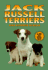 Jack Russell Terriers (Kw Dog)