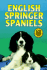 English Springer Spaniels (Kw Dog Breed Library)