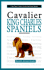 A New Owners Guide to Cavalier King Charles Spaniels