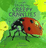 Creepy Crawlies Lift-the-Flap