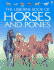 Horses and Ponies