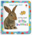 Baby's Very First Little Book of Little Bunnies (Baby's Very First Board Books)