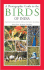 A Photographic Guide to the Birds of India and the India Subcontinent, Including Pakistan, Nepal, Bhutan, Bangladesh, Sri Lanka & the Maldives
