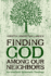 Finding God Among Our Neighbors: an Interfaith Systematic Theology