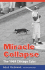 Miracle Collapse: the 1969 Chicago Cubs