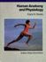 Human Anatomy and Physiology