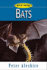 Bats: Wild Guide (Wild Guide Series)