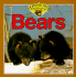 Bears (Baby Animals Series)