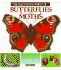 The Fascinating World of...Butterflies and Moths