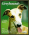 Greyhounds: Everything About Adoption, Purchase, Care, Nutrition, Behavior, and Training (Complete Pet Owner's Manual)