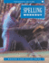 Spelling Workout Grade 2 (Teachers Edition)