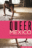 Queer Mexico: Cinema and Television Since 2000 (Queer Screens)