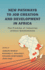 New Pathways to Job Creation and Development in Africa: the Promise of Industries Without Smokestacks