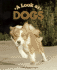 A Look at Dogs (Animals)