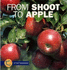 From Shoot to Apple (Start to Finish)