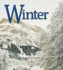 Winter (First Step Nonfiction)