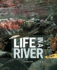 Life in a River