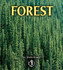 Forest (First Step Nonfiction)