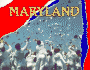 Maryland (Hello U.S.a. )