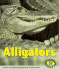 Alligators (Early Bird Nature Books)