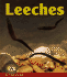 Leeches