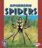 Spinning Spiders (Pull Ahead Books? Animals)