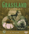 Grassland Food Webs (Early Bird Food Webs)