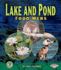 Lake and Pond Food Webs (Early Bird Food Webs)