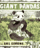 Giant Pandas