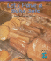 Let's Have a Bake Sale: Calculating Profit and Unit Cost (Powermath)