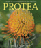 Protea: a Guide to Cultivated Species and Varieties