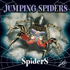 Jumping Spiders (Spiders Discovery Library)