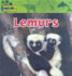 Lemurs (Amazing Animals)