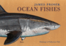 Ocean Fishes--Paintings of Saltwater Fish