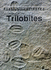 Trilobites (Fossils Illustrated)