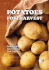 Potatoes Postharvest