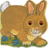 Pocket Bunny (Pocket Pals)