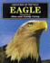Creatures of the Wild: Eagle (Creatures of the Wild Series)