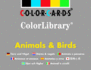 Animals Birds Colorlibrary Colorcards