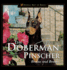 The Doberman Pinscher: Brains and Beauty