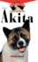 The Akita: an Owner's Guide to a Happy Healthy Pet (Your Happy Healthy Pet, 119)