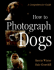 How to Photograph Dogs: a Comprehensive Guide