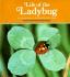 Life of the Ladybug (a Carolrhoda Nature Watch Book)