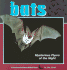 Bats: Mysterious Flyers of the Night (a Carolrhoda Nature Watch Book)