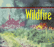 Wildfire (Nature in Action)