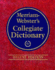 Merriam-Webster's Collegiate Dictionary, Deluxe Edition
