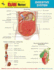 Digestive System: Examnotes-Reference Guide