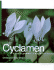 Cyclamen: a Guide for Gardeners, Horticulturists and Botanists