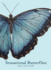 Sensational Butterflies (Rothery's Animal Planet Series)