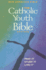 Catholic Youth Bible-Nab